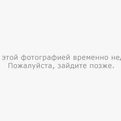 Артур Пирогов